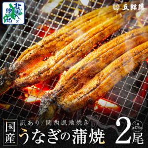 ふるさと納税 泉佐野市 【訳あり】老舗「五郎藤」関西風地焼き 国産有頭旨鰻 170g×2尾 計約340g 099H3441｜さとふる