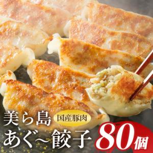 沖縄高級ブランド豚 濃厚な肉汁が溢れる!美ら島あぐー餃子 20個入(400g)×4パック 合計80個