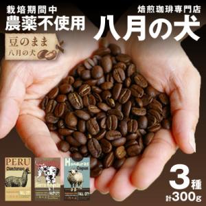 コーヒー豆 飲み比べお試しセット (100gx3種) 自家焙煎珈琲豆 【栽培期間中農薬不使用】