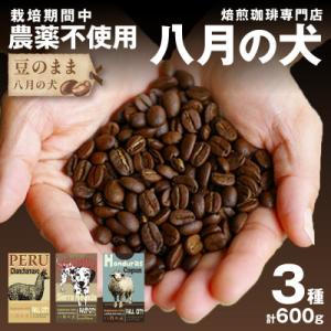 コーヒー豆 飲み比べお試しセット (200gx3種) 自家焙煎珈琲豆 【栽培期間中農薬不使用】