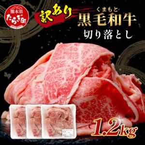 【訳あり】くまもと黒毛和牛 切り落とし1.2kg(多良木町)