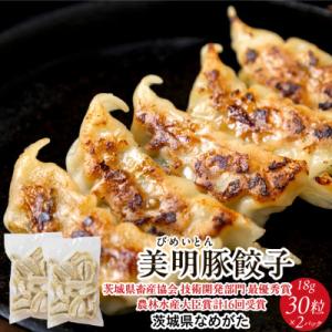 美明豚「びめいとん」のジューシー餃子 30個×2袋