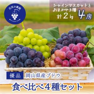 岡山　花笑み農園の『食べ比べ4種』シャイン入り　優品　2kg(4房)4M-2優