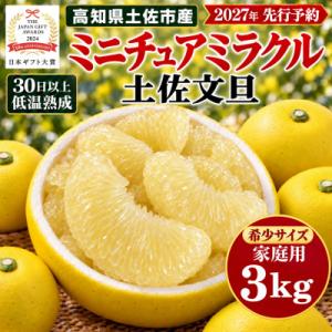 【日本ギフト大賞受賞】文旦発祥の地 園主こだわり希少ミニチュアミラクル土佐文旦3kg やの一果彩