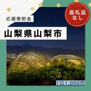 ふるさと納税 山梨市 【返礼品なし】山梨県山梨市への応援寄附金(1口1,000円)