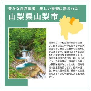 ふるさと納税 山梨市 【返礼品なし】山梨県山梨...の詳細画像1