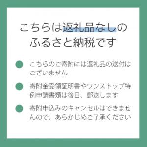 ふるさと納税 山梨市 【返礼品なし】山梨県山梨...の詳細画像3