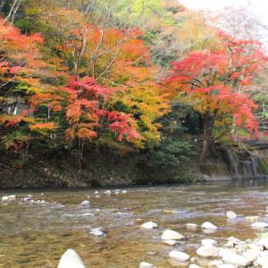 ふるさと納税 井原市 【返礼品なし】井原市の環...の詳細画像1