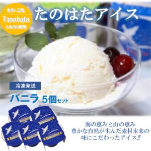 生乳100%で仕上げたなめらかな口溶けアイス　バニラ5個セット(120g×5個)