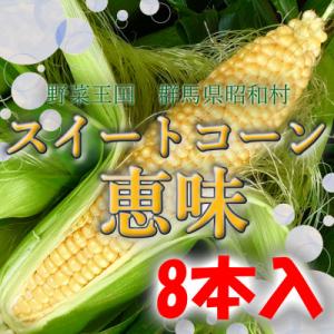 朝採とうもろこし2026年7月上旬より順次発送【8本】