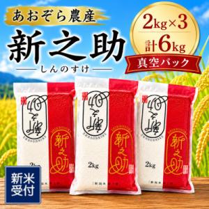 【新米受付・令和8年産米】【真空パック】新潟ブランド米・新之助精米6kg(2kg×3袋)NA4220