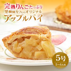 完熟りんごたっぷり 果樹園カフェのアップルパイ 5号(5～6人用)