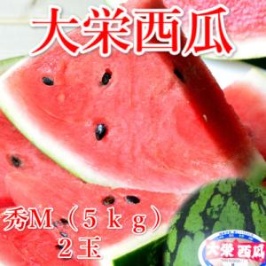 大栄西瓜 秀品 M2玉