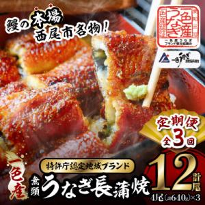 【定期便】一色産うなぎ　無頭　長蒲焼4尾(640g)×3回・I062-84-1