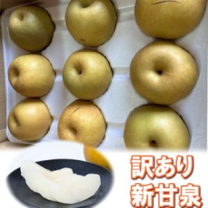 【訳あり】新甘泉 3kg