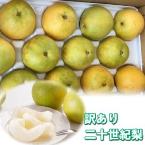【訳あり】二十世紀梨 4kg