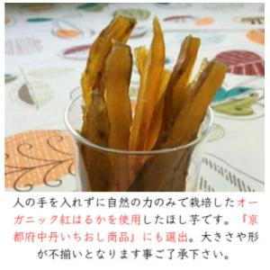 ふるさと納税 綾部市 《優秀味覚賞受賞》 京都...の詳細画像1