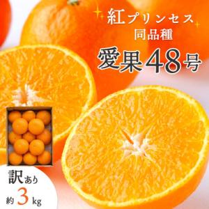【先行受付】「紅プリンセス」と同品種!愛媛果試48号 3kg【訳あり】【E25-174】