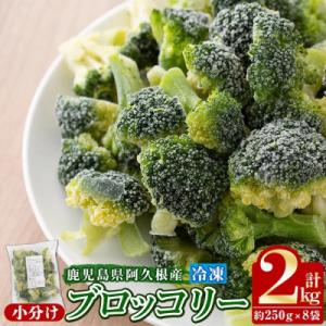 《先行予約受付中!2025年12月より順次発送》鹿児島県産 冷凍ブロッコリー 計2kg
