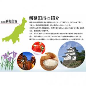 ふるさと納税 新発田市 【返礼品なし】ふるさと...の詳細画像1