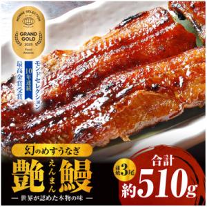 三河一色産　幻のめすうなぎ艶鰻　蒲焼3尾・T117