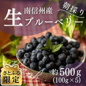 2027年発送【さとふる限定】【南信州産】生ブルーベリー 100g×5パック 6月下旬～順次発送