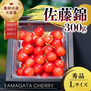 2027年産 さくらんぼ 「 佐藤錦 」 300g 秀品 L以上 (300g×1箱) 山形県産