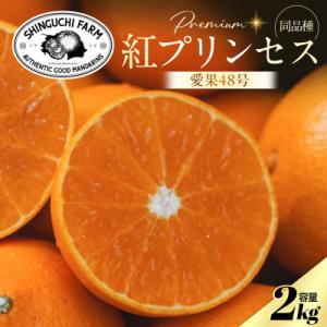 ふるさと納税 八幡浜市 【紅プリンセスと同品種】「甘平×まどんな」愛果48号【2kg】《新品種》【家...