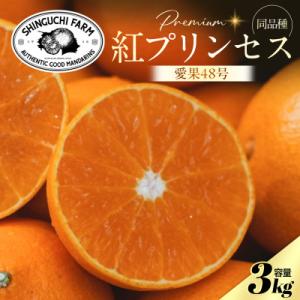 ふるさと納税 八幡浜市 【紅プリンセスと同品種】「甘平×まどんな」愛果48号【3kg】《新品種》【家...