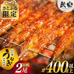宮崎県日向市産 鰻楽ハーブうなぎ蒲焼2尾(計400g)