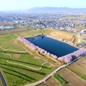 ふるさと納税 田原本町 【返礼品なし】田原本町...の詳細画像1