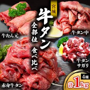 宮城 牛タン 全部位 食べ比べ(4種類)計1kgセット 特製 二日熟成 塩味