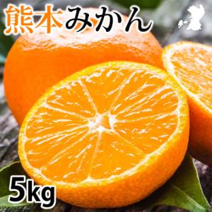 熊本みかん 5kg【2026年10月上旬から2027年2月下旬発送予定】