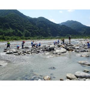 ふるさと納税 黒部市 【返礼品なし】自然環境の保全及び脱炭素社会の推進に関する事業(1口1,000円)