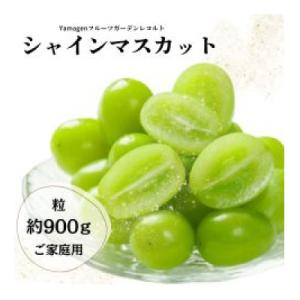 ふるさと納税 高畠町 山形県 高畠町産 ご家庭用 シャイマスカット 贅沢セット 粒　約900g