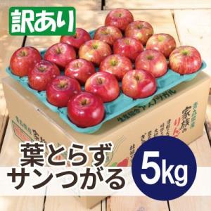 【2026年9月発送予定】平均糖度12度以上! 葉とらずサンつがる 約5kg 訳あり