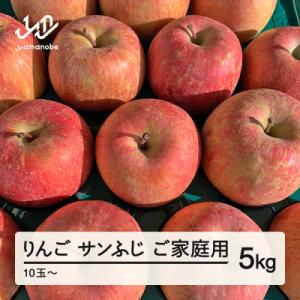 先行予約 りんご サンふじ ご家庭用 約5kg 山形県産 tf-risfm5