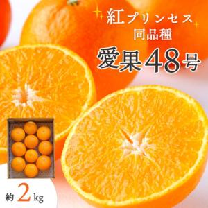 【先行受付】甘平×まどんな「紅プリンセス」と同品種!愛媛果試48号 2kg【E25-181】