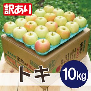 【2026年11月より順次発送】平均糖度13度以上! トキ 約10kg 訳あり