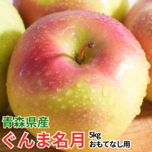 【26年11月より順次発送】平均糖度13度以上! ぐんま名月 約5kg おもてなし用