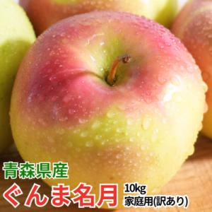 【26年11月~12月出荷】平均糖度13度以上! ぐんま名月 約10kg 訳あり りんご 青森県産