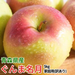 【26年11月より順次発送】平均糖度13度以上! ぐんま名月 約5kg 訳あり