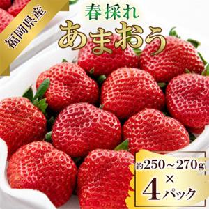 【数量限定】【2027年3月下旬発送開始】福岡県産春採れあまおう 約270g×4パック