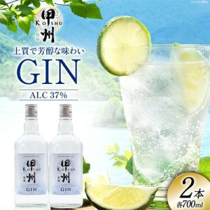 甲州韮崎 ジン 700ml×2本