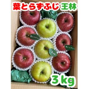 (2026年産予約)【青森市産　完熟葉とらずふじ・王林】約3kg 8～12玉(家庭用)