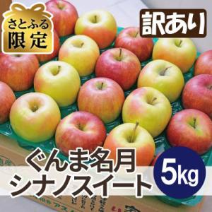 【さとふる限定】11月から順次発送糖度13度以上保証! ぐんま名月×シナノスイート 約5kg 訳あり