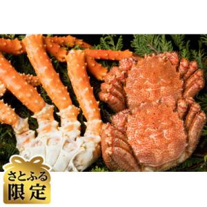ふるさと納税 北見市 【さとふる限定】オホーツク...の商品画像