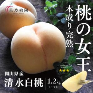 先行受付【清水白桃】岡山県産 三つ星 星乃桃園 1.2kg (4～5玉)