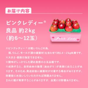 ふるさと納税 安曇野市 信州安曇野産 ピンクレ...の詳細画像1