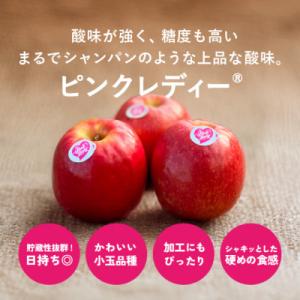 ふるさと納税 安曇野市 信州安曇野産 ピンクレ...の詳細画像2